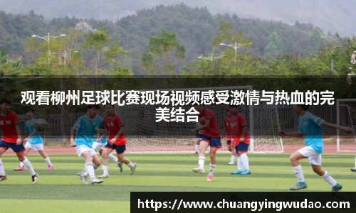 风云体育直播