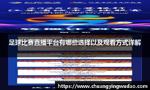 足球比赛直播平台有哪些选择以及观看方式详解